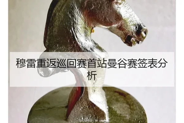 mu-lei-chong-fan-xun-hui-sai-shou-zhan-man-gu-sai-qian-biao-fen-xi-2-703.jpg